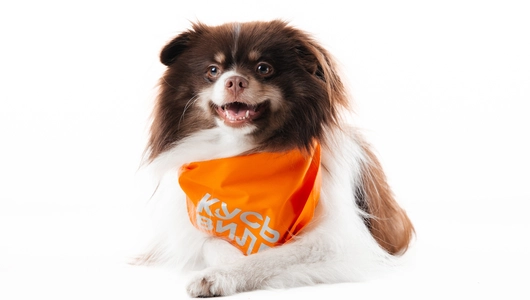 Бандана для собак (оранжевая) со светоотражающими элементами