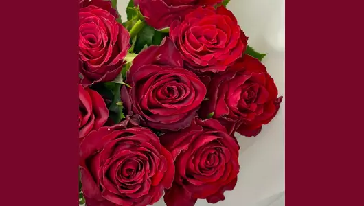 Букет красных роз 9 штук FMART by flowwow