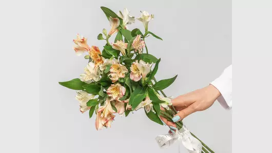 Букет из&nbsp;7 нежных альстромерий микс