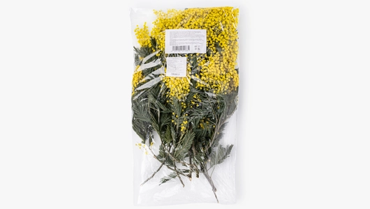 Мимоза букет