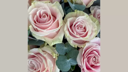 Букет 25 розовых роз с&nbsp;эвкалиптом FMART by flowwow