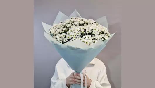 Букет из 19  кустовых хризантем сантини