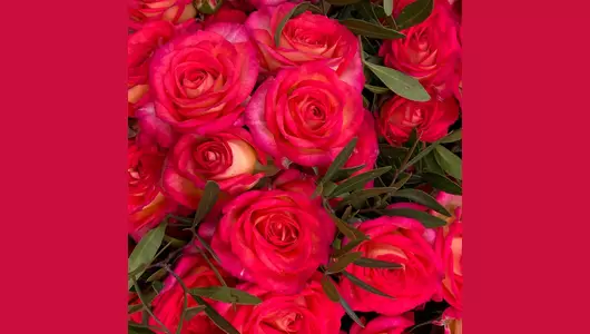 Букет Яркие кустовые розы FMART by flowwow