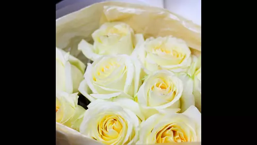 Монобукет из&nbsp;9 роз Кенделайт "Нежный зефир" FMART by flowwow