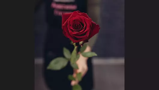 Букет из&nbsp;55 красных роз (70см)