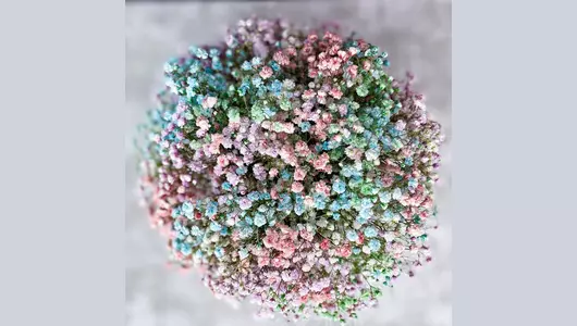 Шляпная коробка с&nbsp;гипсофилой (размер XL) FMART by flowwow