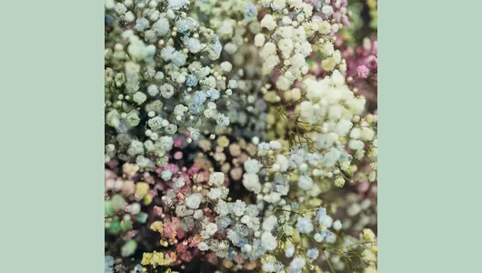 Букет из&nbsp;25 радужных гипсофил