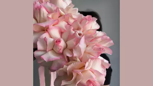 Французская роза в&nbsp;переноске FMART by flowwow