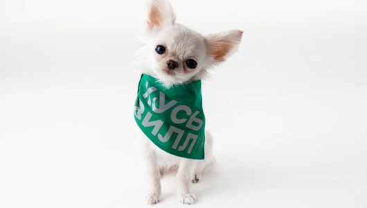 Бандана для собак (зеленая) со светоотражающими элементами