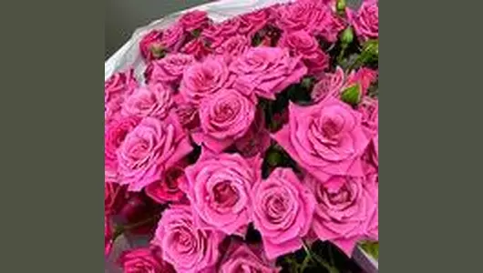 Букет из&nbsp;малиновых кустовых роз FMART by flowwow