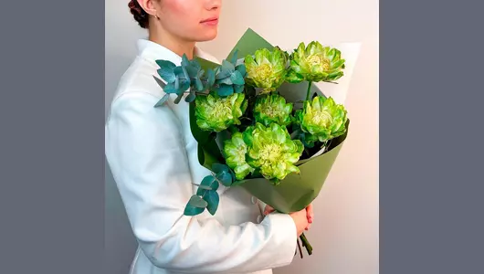 Монобукет из&nbsp;зелeных роз сорта Вегги "Эстетика природы FMART by flowwow