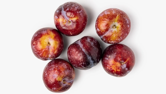 Слива крупная