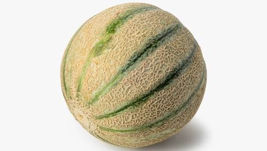 Дыня Шаранте