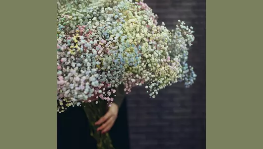 Букет из&nbsp;25 радужных гипсофил