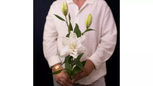 Белая пионовидная лилия Аннушка, великолепная нежность (3шт)