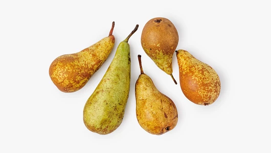 Груша Конференция