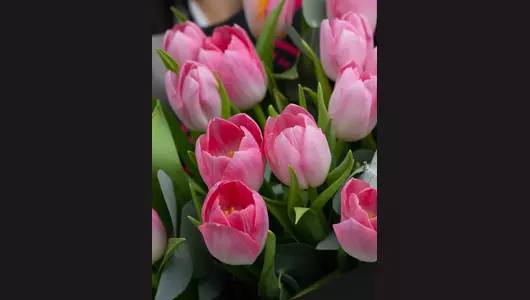 Нежный дизайнерский букет из&nbsp;21 розового тюльпана