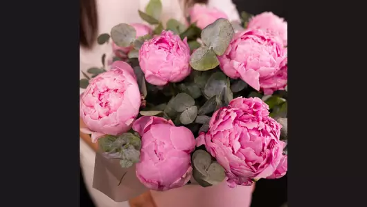 Шляпная Коробка: монобукет из&nbsp;пионов