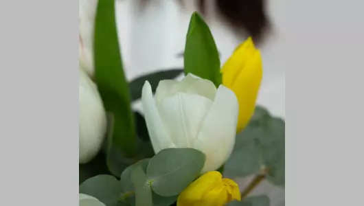 Коробка шляпная из&nbsp;тюльпанов микс