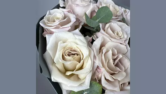 Моно мента (11шт) FMART by flowwow