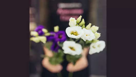 Эустома 11 штук микс