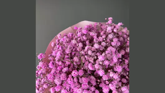 Розовое облачко FMART by flowwow