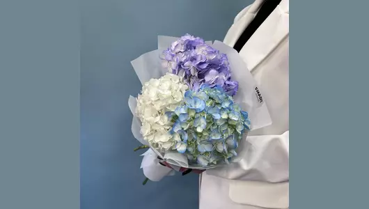 Букет моно из&nbsp;Гортензии FMART by flowwow