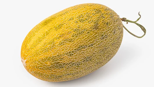 Дыня весенняя