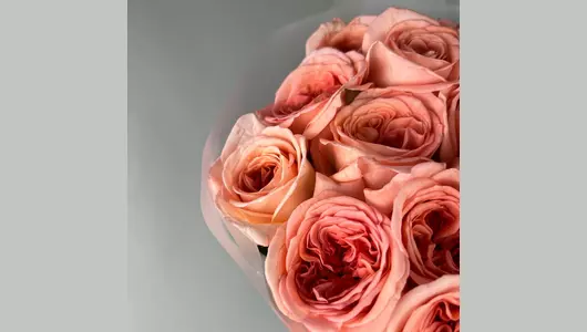 Моно розочки Лондон Ай (15 шт) FMART by flowwow