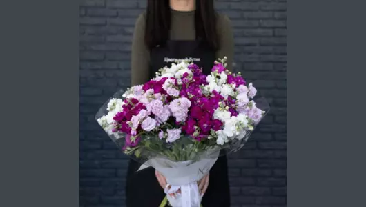 Букет из&nbsp;11 маттиол микс