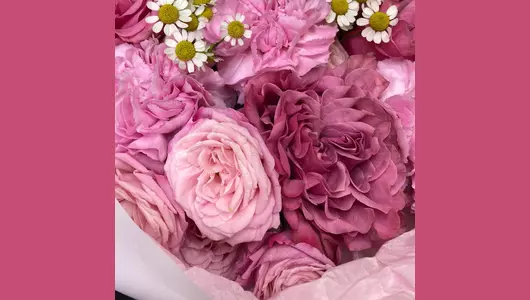 Малиновый закат. Пионовидные розы кустовые розы ромашки FMART by flowwow