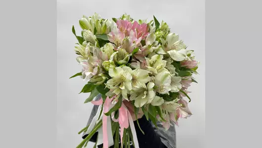 25 Альстромерия микс FMART by flowwow