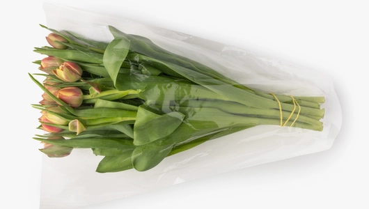 Тюльпаны букет, 15 шт