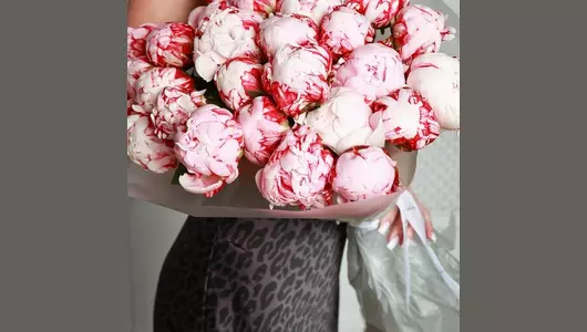 Букет пионов Сара Бернар 25 шт