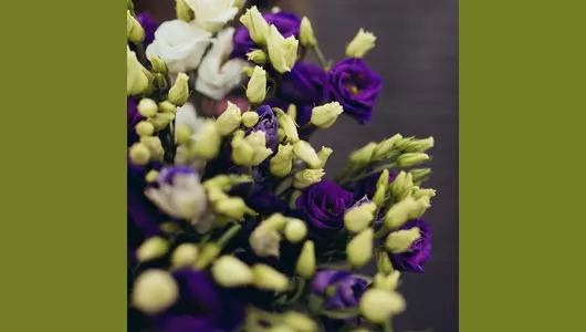 Эустома 11 штук микс