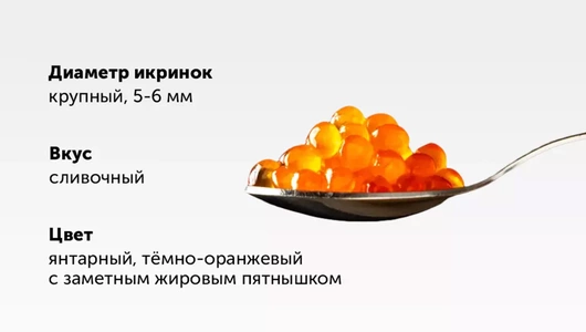 Икра кеты зернистая соленая ст/б охл., 100 г Икра кеты зернистая соленая ст/б охл., 100 г