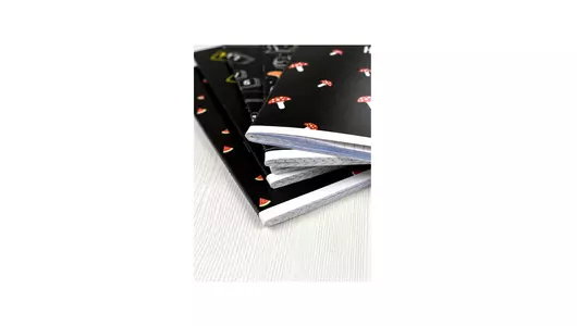 Тетрадь общая Феникс+ Герои с характером A5 48 листов в клетку на скрепке (в ассортименте) Тетрадь общая Феникс+ Герои с характером A5 48 листов в клетку на скрепке (в ассортименте)