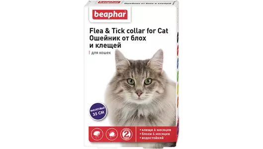 Beaphar ошейник для кошек фиолетовый New от блох и клещей 35 см с 6 месяцев