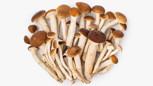 Грибы Опята, 200 г