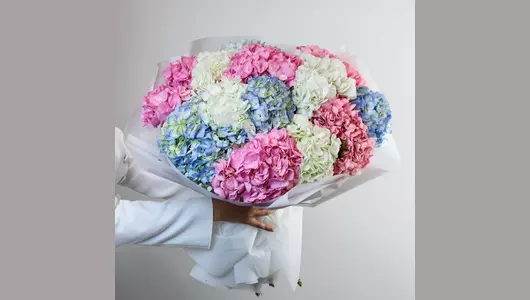 Монобукет из&nbsp;15 гортензий "Акварельное облако" FMART by flowwow