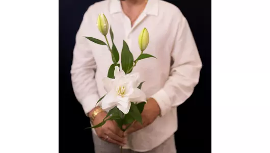 Белая пионовидная лилия Аннушка, великолепная нежность (3шт)