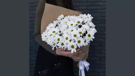 Букет из 7 кустовых хризантем