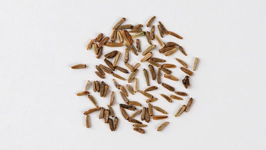 Семена "Нивяник Серебряная принцесса" 0,1 г