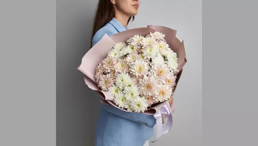 Кустовые хризантемы, 7 шт