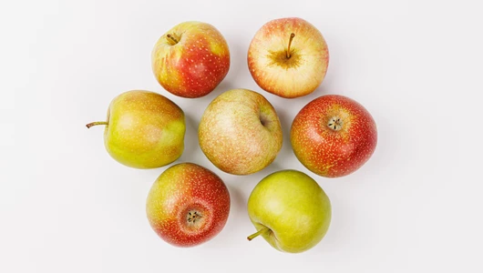 Яблоко Память Мичурина