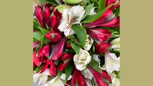 Букет 15 альстромерий FMART by flowwow