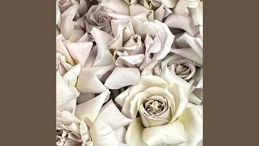 Фарфоровое касание FMART by flowwow