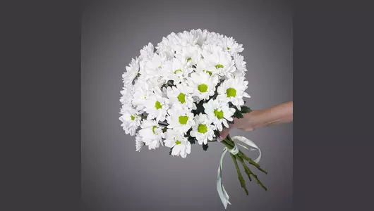 Монобукет из 7 кустовых белых Хризантем