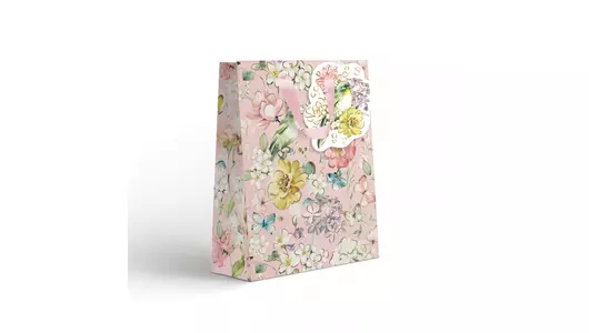 Пакет подарочный Paketiko Dreams 18х22х10 см в ассортименте Пакет подарочный Paketiko Dreams 18х22х10 см в ассортименте