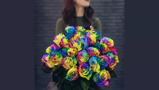 Роза рейнбоу 5шт. (70см)